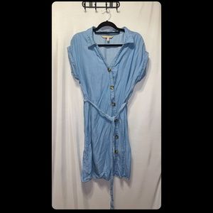 Appraisal blue Jean dress